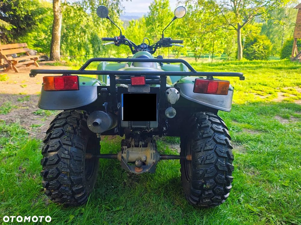 Kawasaki Brute Force - 8