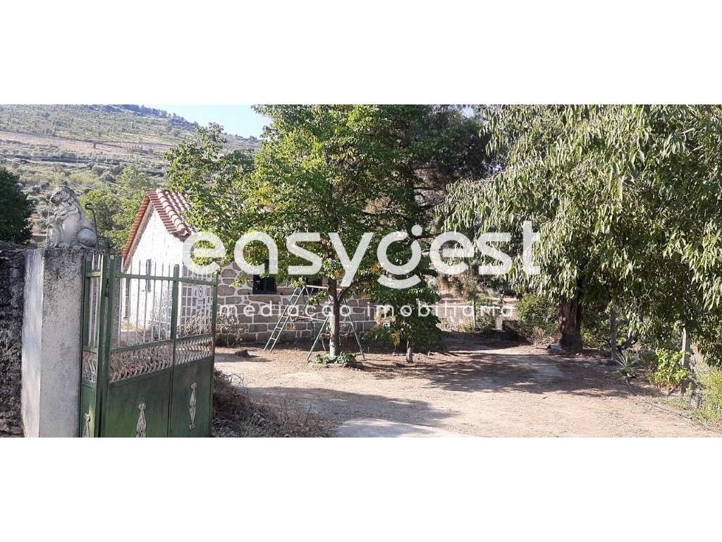 Magnífica Quinta em Torre de Moncorvo, Quinta Pomar de Baixo. - Grande imagem: 3/30