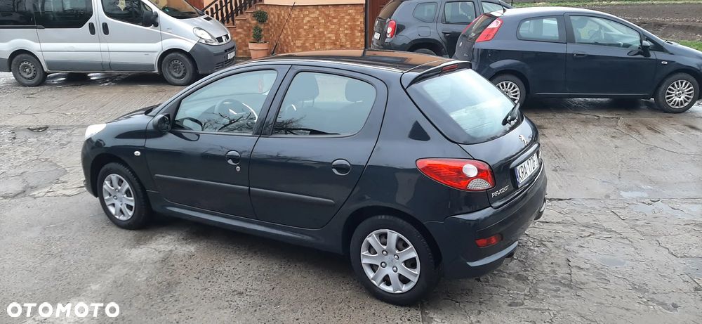 Peugeot 206 plus - 12