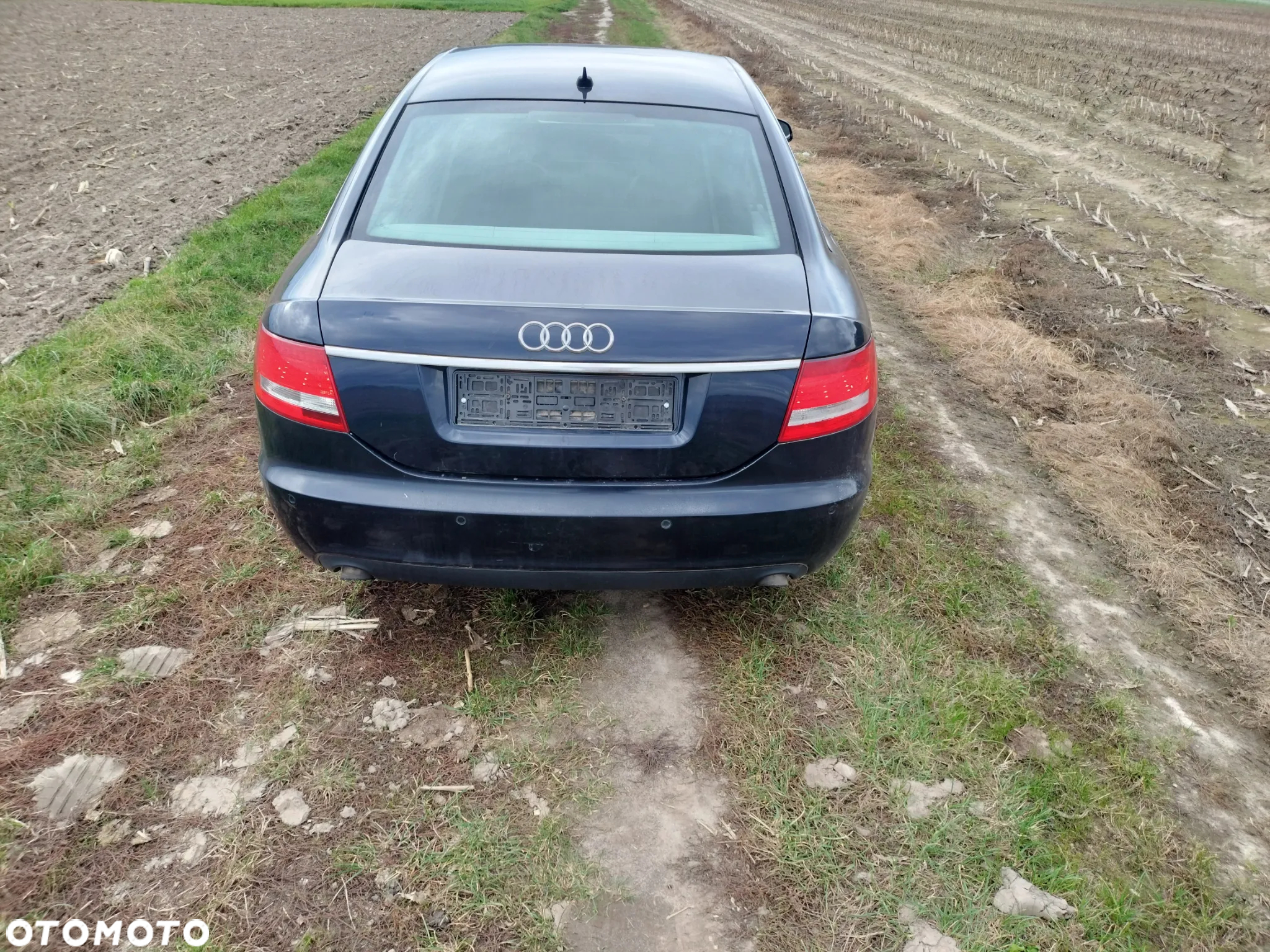 audi A6 C6  kod silnika BMK kod farby LZ5D - 3