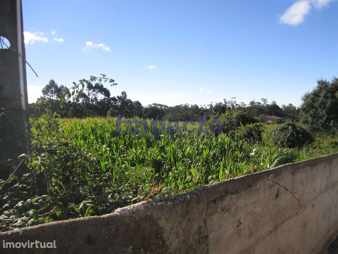 Terreno em Cucujães, Oliveira de Azeméis - Grande imagem: 2/10