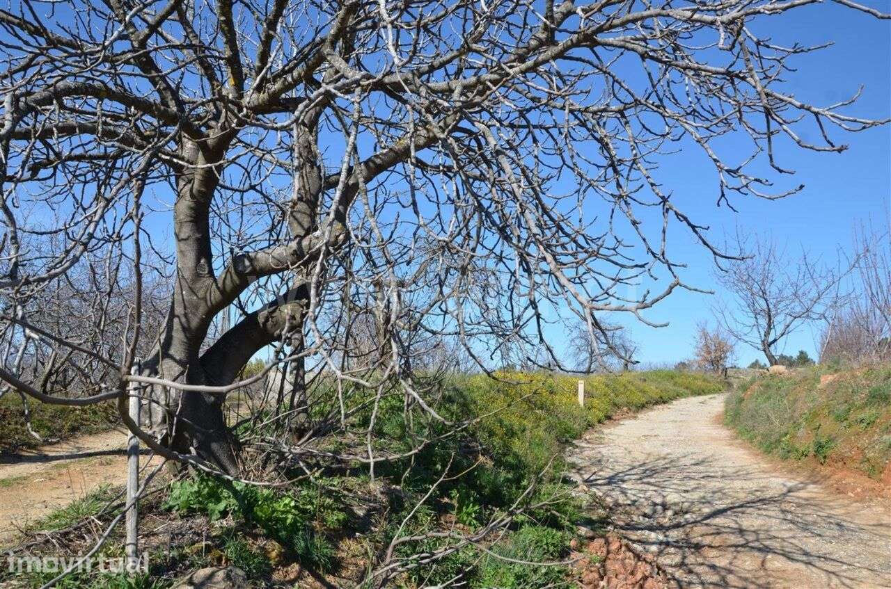 Quinta / Fundão, Aldeia de Joanes - Grande imagem: 5/12