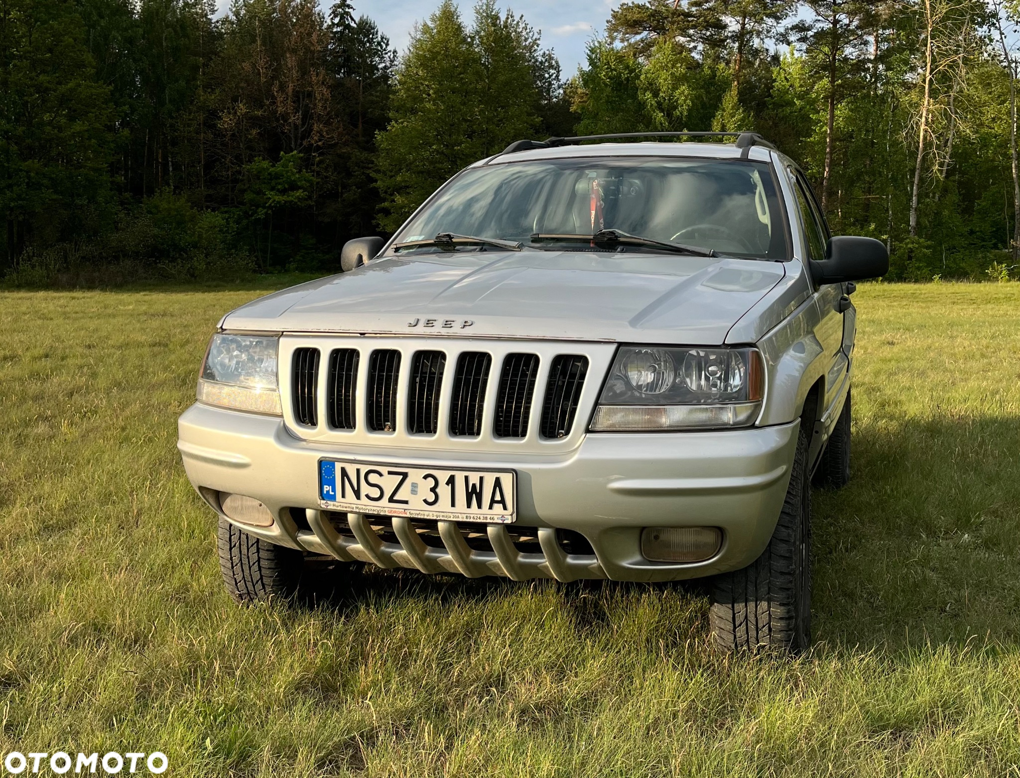 Jeep Grand Cherokee 4.0 Laredo - 10