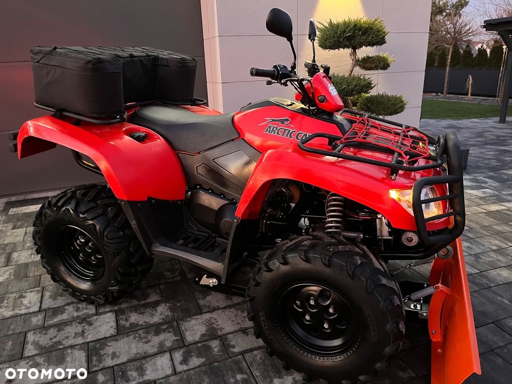 Arctic Cat Inny - 1