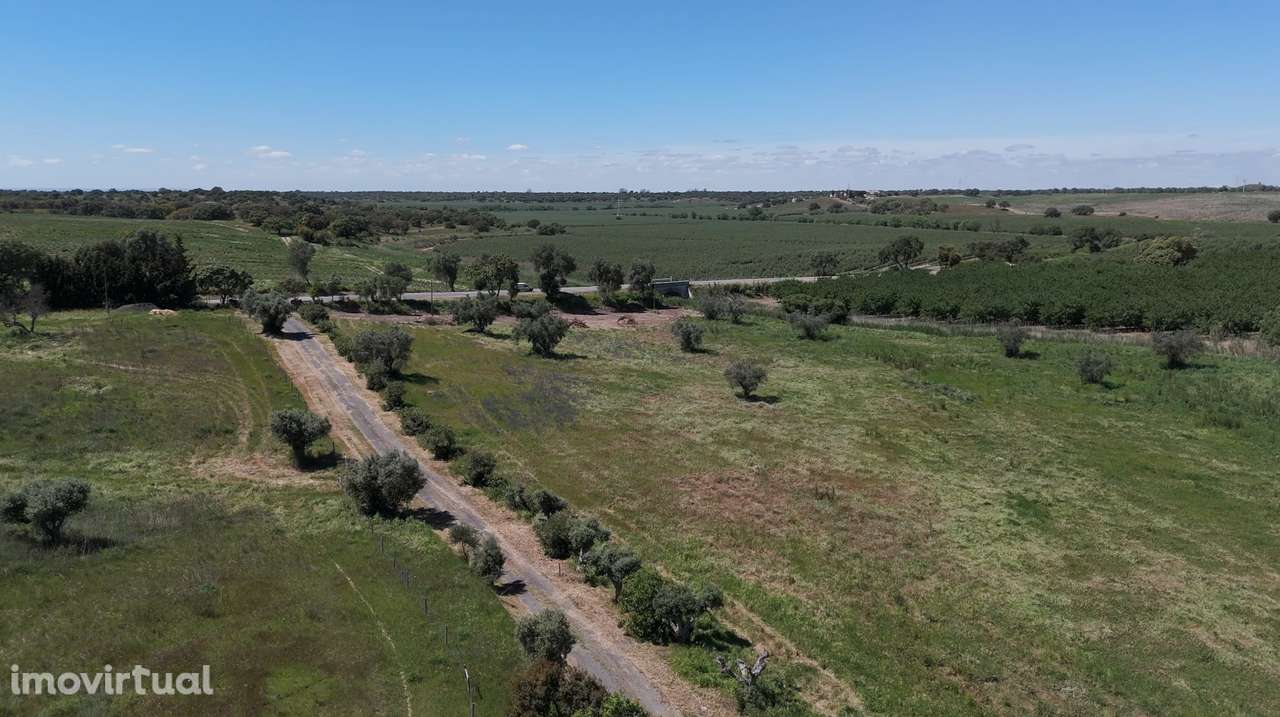 Monte Alentejano | 80.300m2 | Moradia com piscina e armazéns - Grande imagem: 3/31