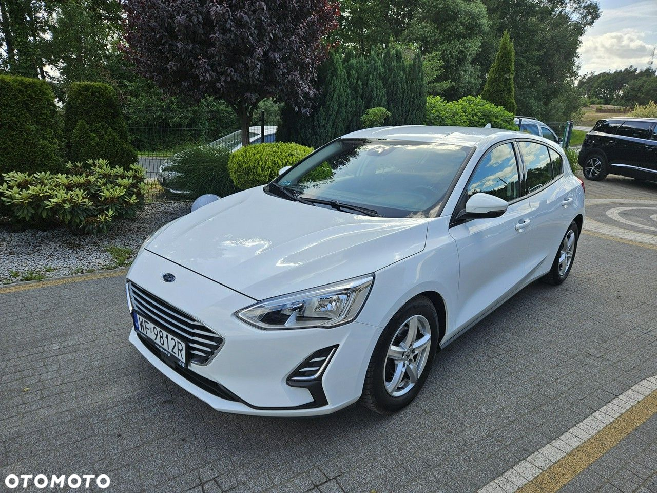 Ford Focus - 30