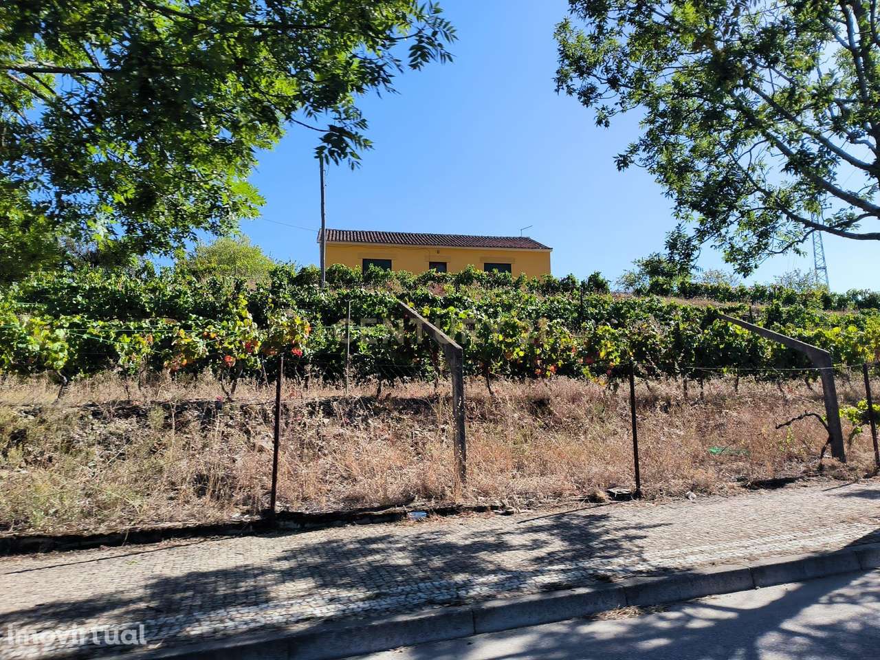 Quinta para Recuperar em Viseu - Oportunidade Única! - Grande imagem: 2/21