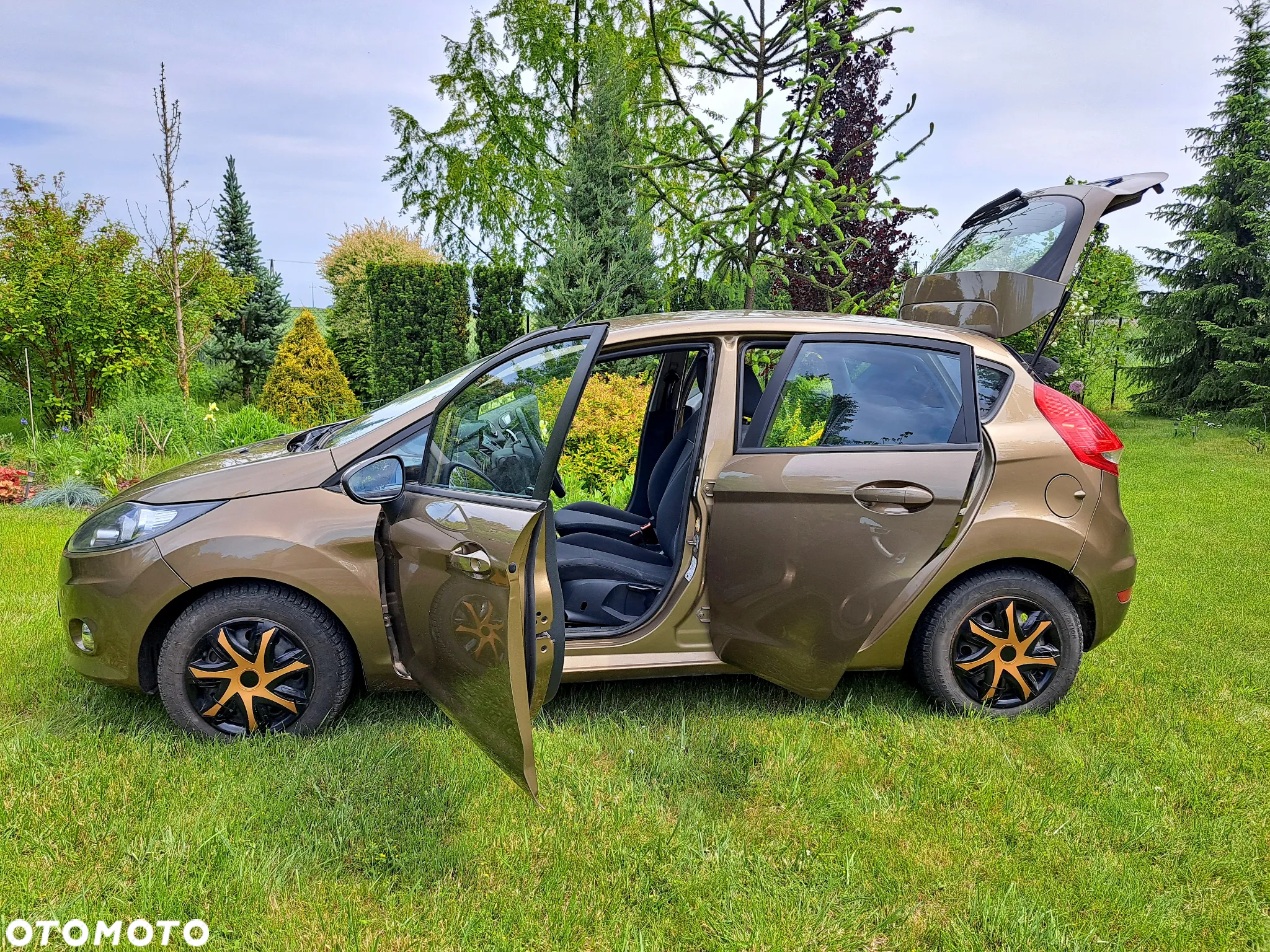 Ford Fiesta - 11