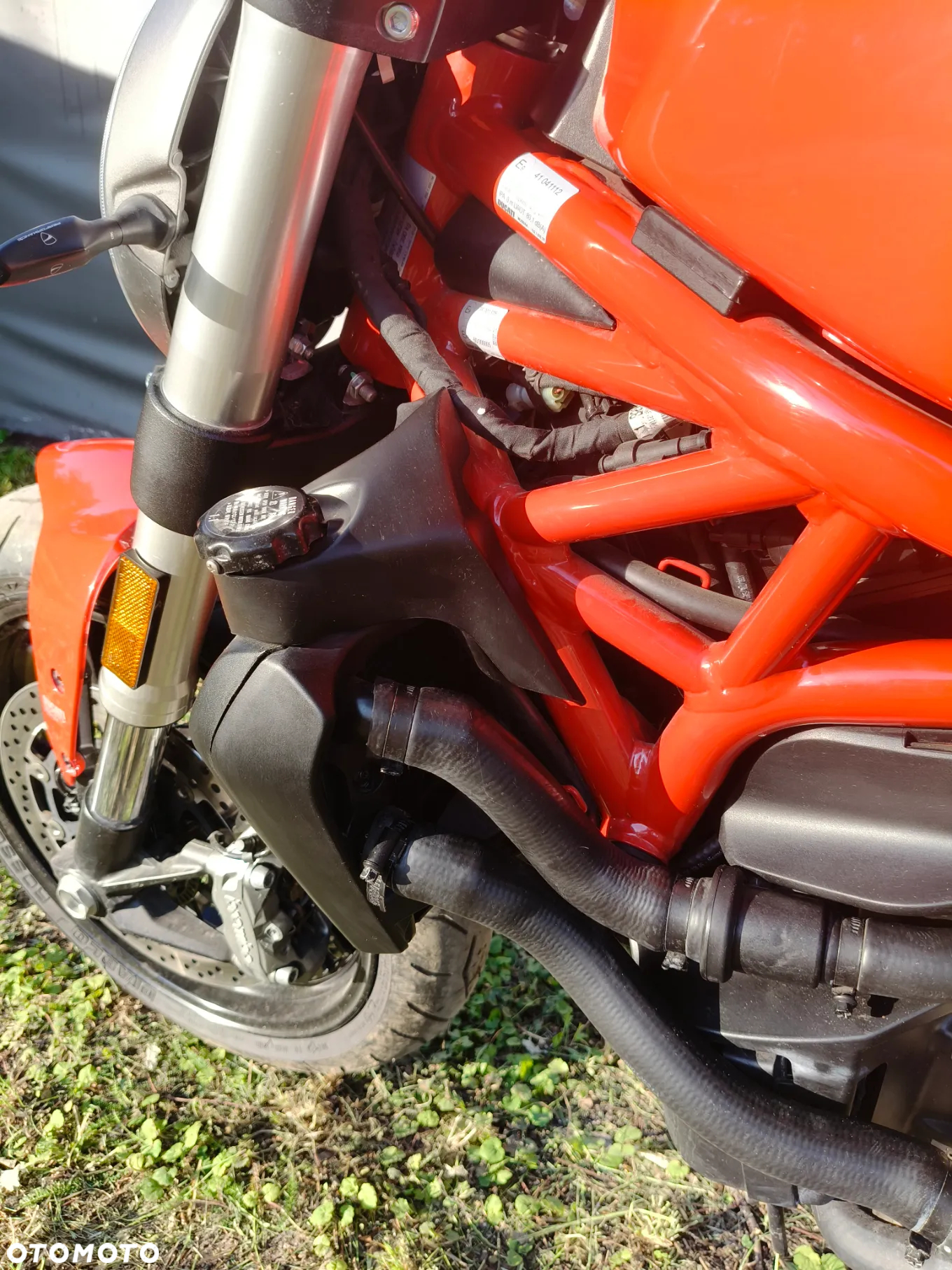 Ducati Monster - 25