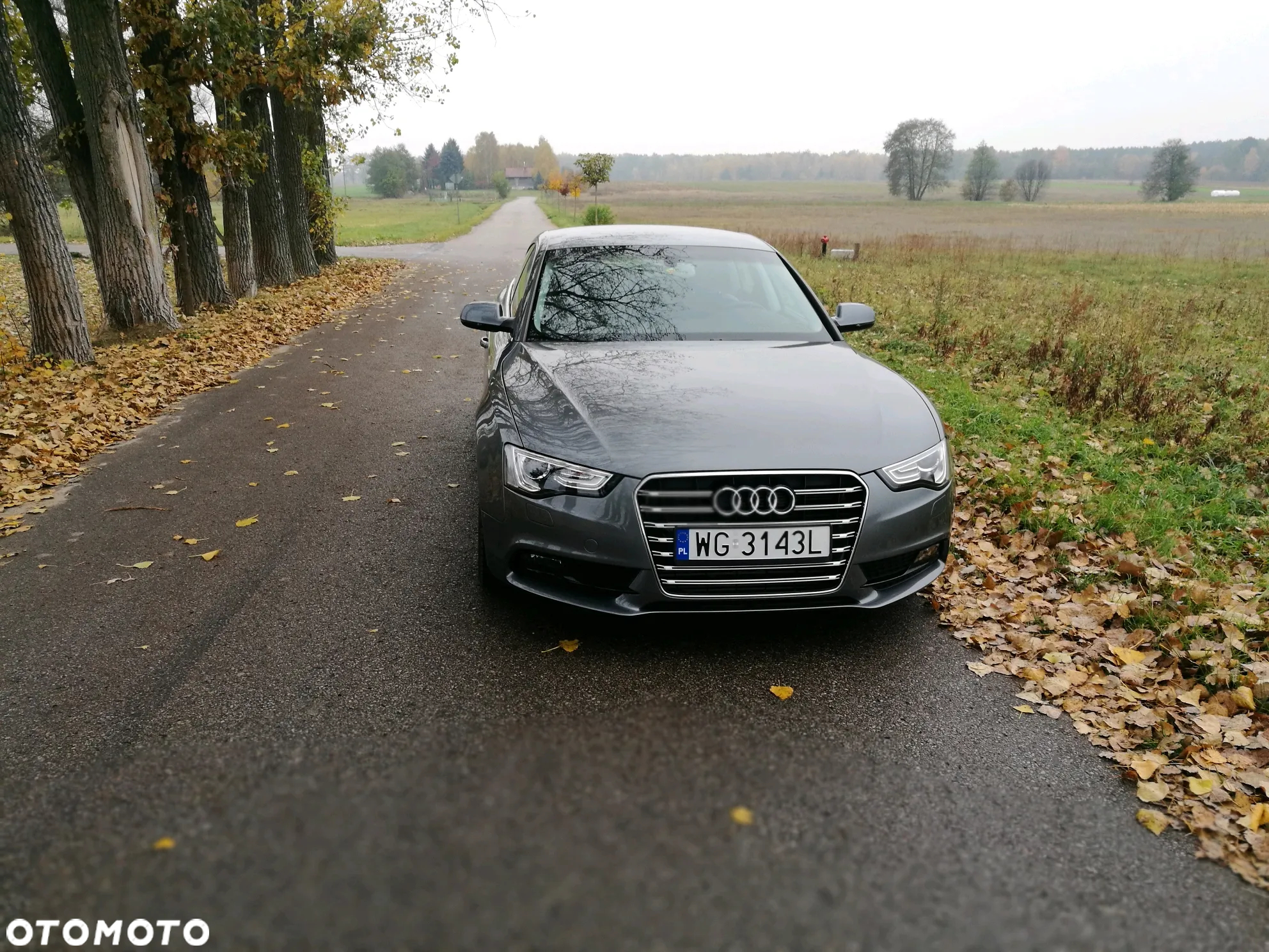 Audi A5 2.0 TDI - 2