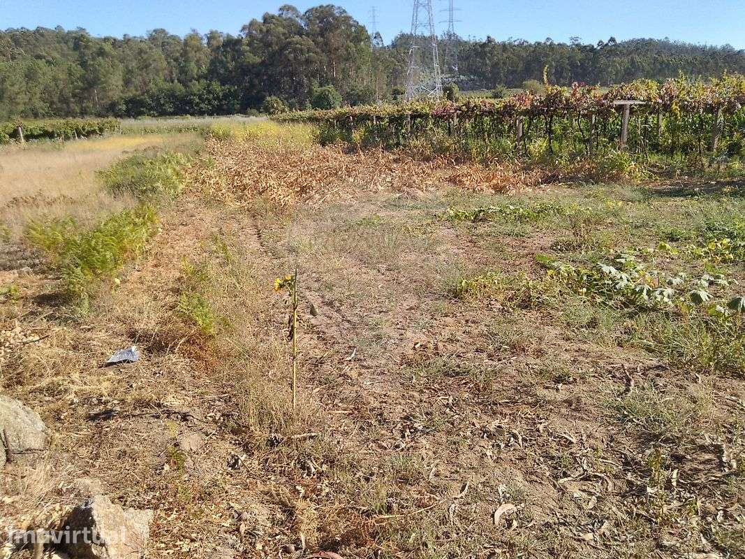 Terreno  para venda - Grande imagem: 2/7