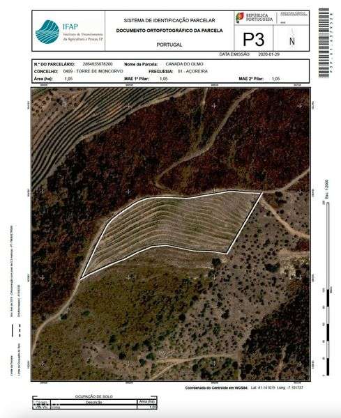 Vesndo um terreno em sequeiros - Grande imagem: 3/4