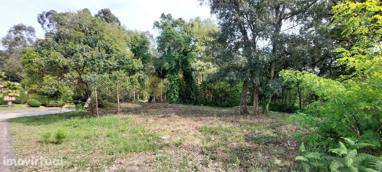 Terreno com Vista sobre o Rio – Quinta das Luzes, Jovim – Gondomar - Grande imagem: 4/22