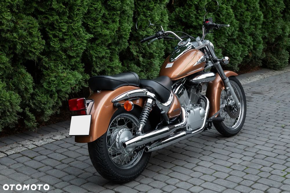 Suzuki Intruder - 5