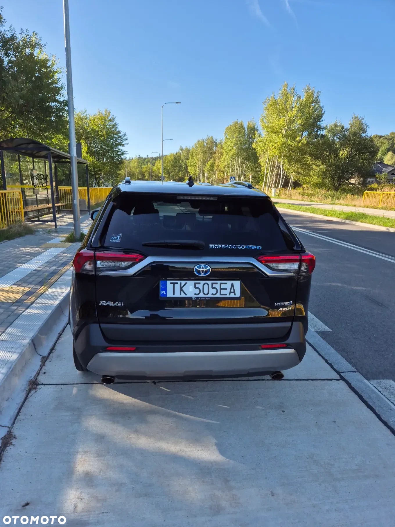 Toyota RAV4 2.5 Hybrid Executive 4x4 - 2