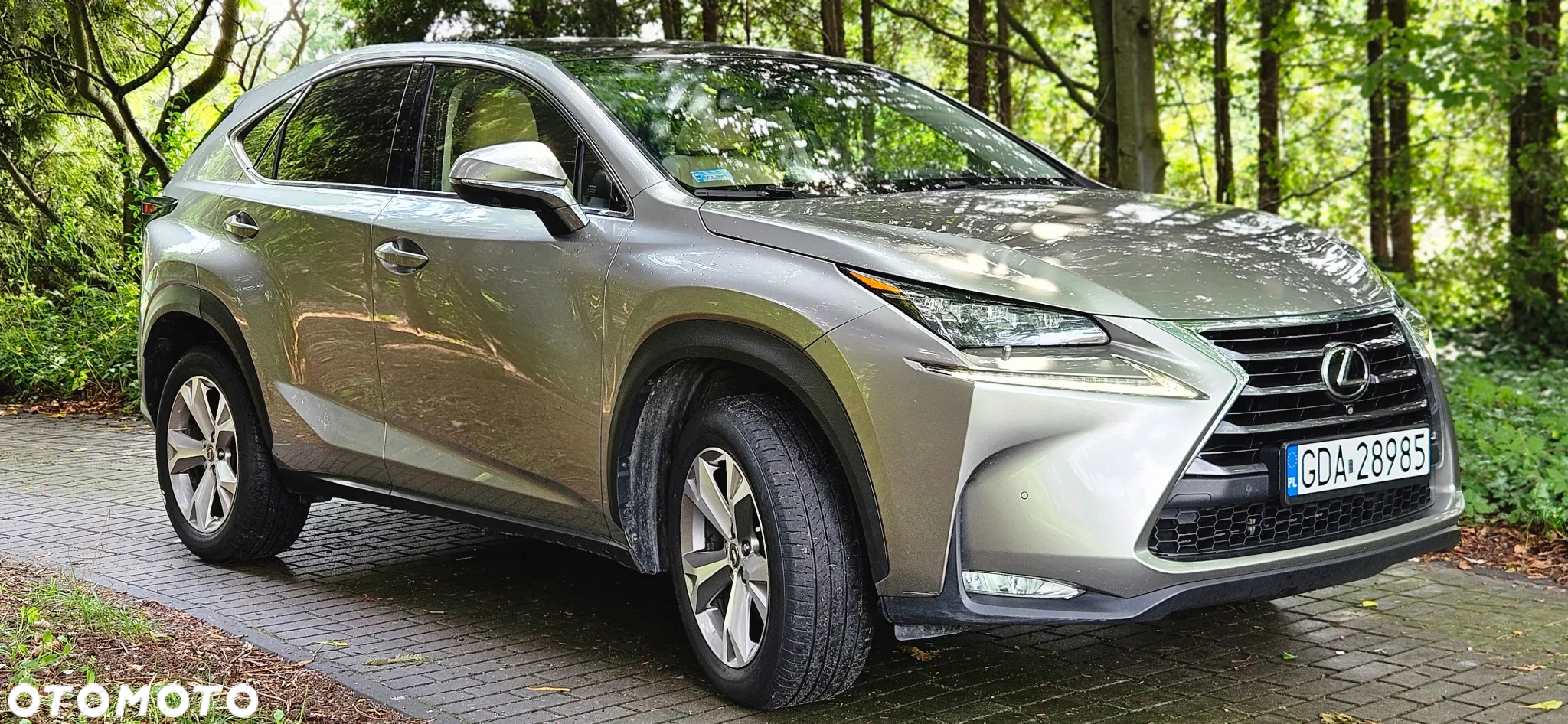 Lexus NX 200t Prestige AWD - 3