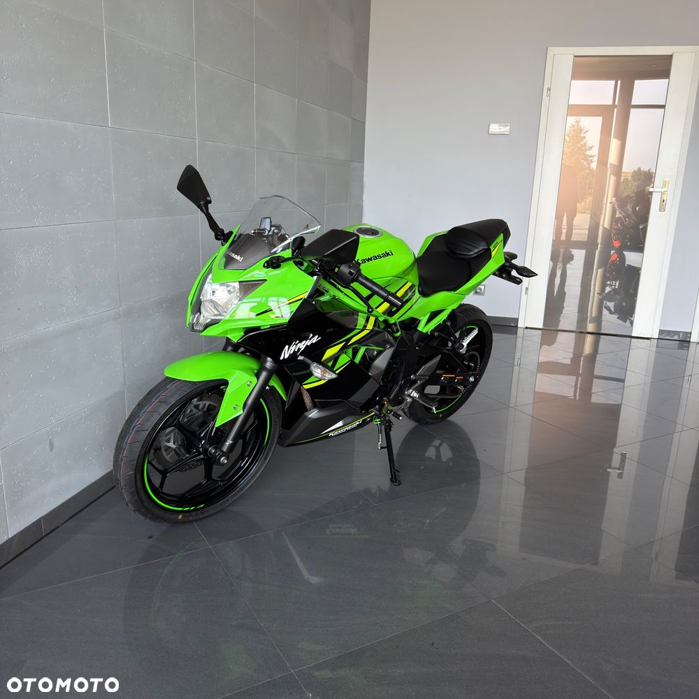 Kawasaki Ninja - 10