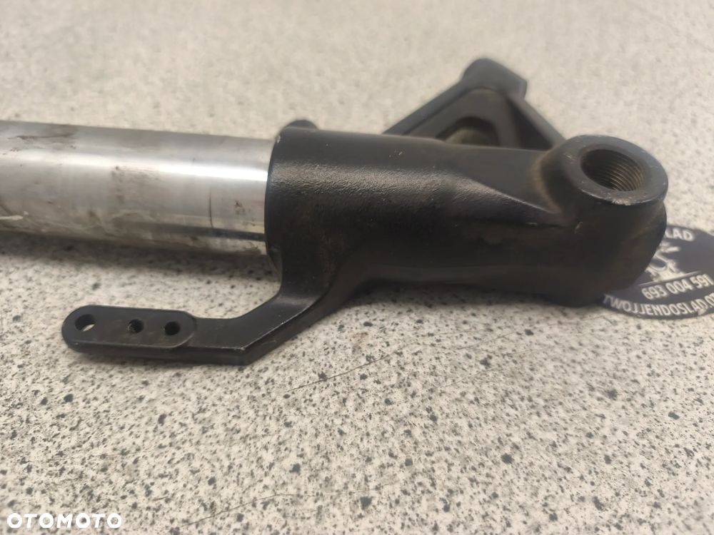 Laga lewa, zawieszenie przód, amortyzator, kopyto Triumph Tiger 1050 - 5
