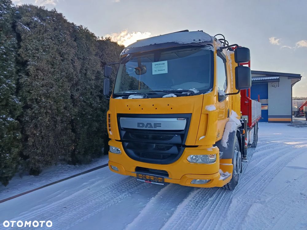 DAF LF 310i 4x2 HDS FASSI F185 - 2