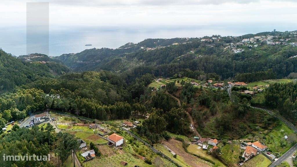 Terreno Agrícola com excelente exposição solar na Camacha  destinado à - Grande imagem: 5/15