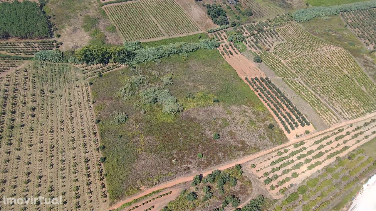 Terreno Rústico de 10.200 m² à Venda na Portela, Bombarral – Ideal par - Grande imagem: 5/9
