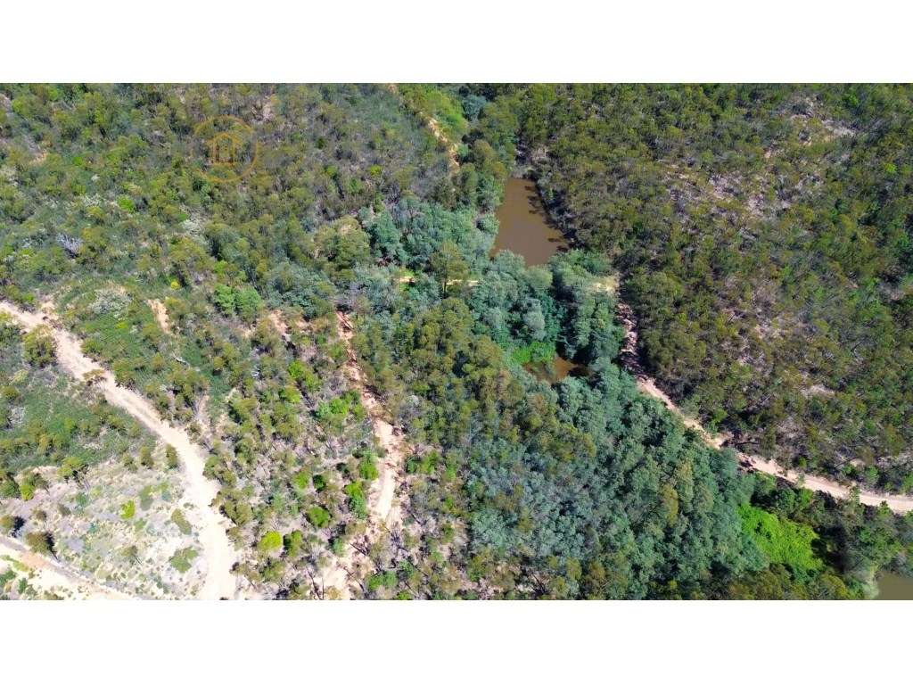 Terreno Rústico em Marmelete - Grande imagem: 3/14