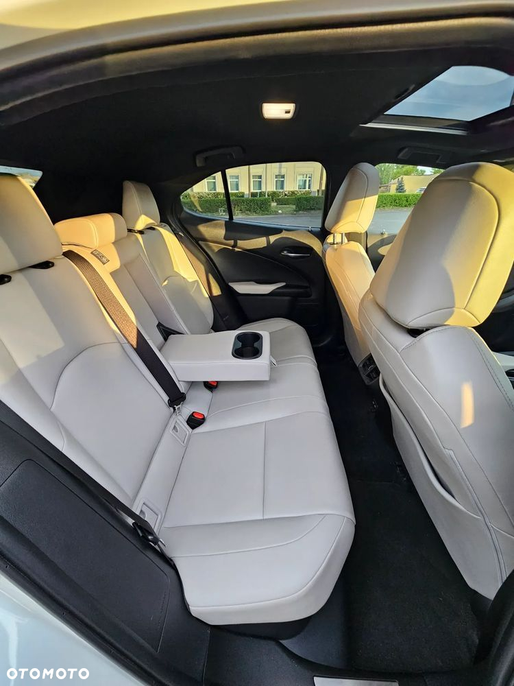Lexus UX 250h - 14