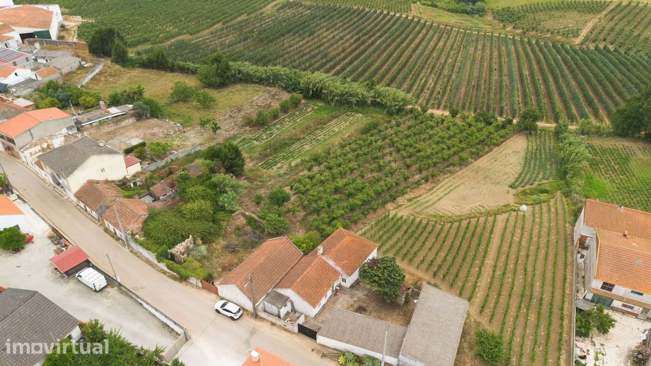 Terreno misto com 2.573 m² | Barrocalvo, Carvalhal - Grande imagem: 5/12