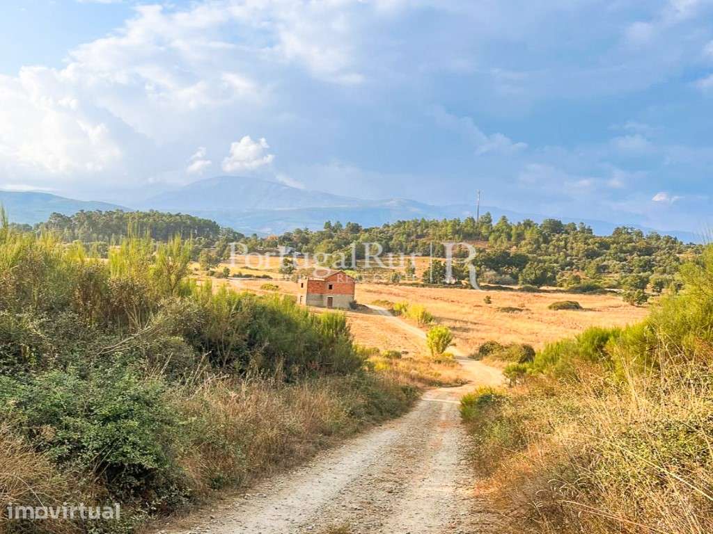 Quinta de regadio com 46.000 m2, em Alcaria - Fundão - Grande imagem: 4/28
