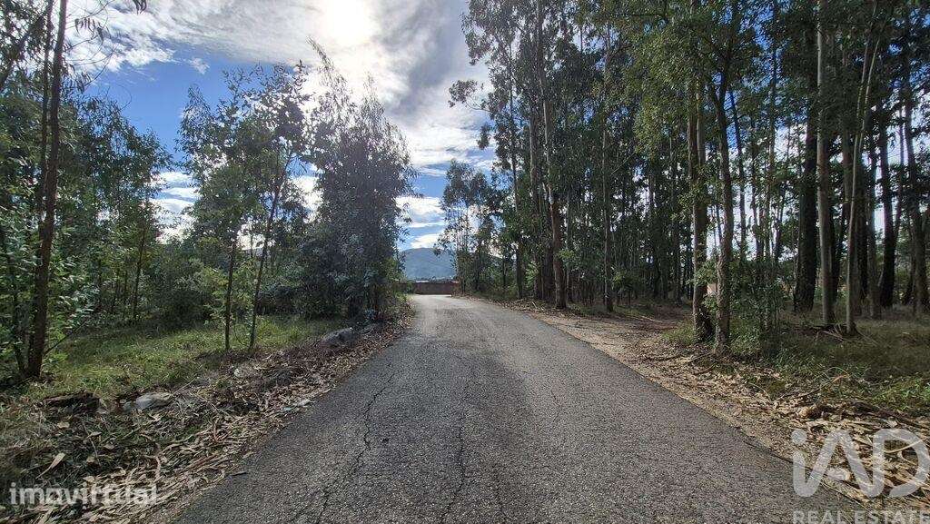 Terreno para construção em Pedreiras - Grande imagem: 3/7