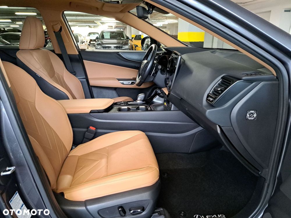 Lexus NX - 16