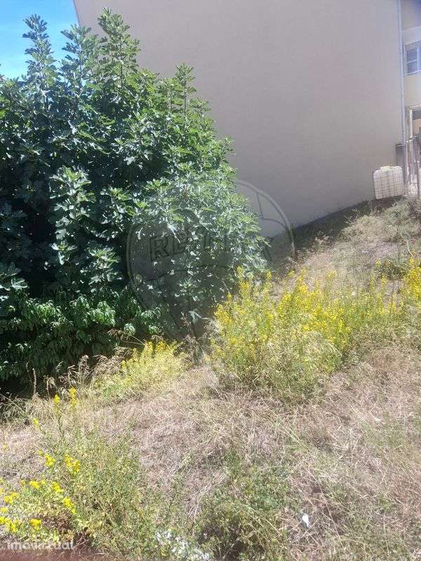 Terreno  para venda - Grande imagem: 3/5