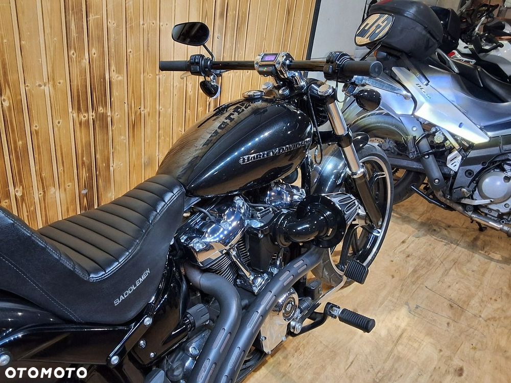 Harley-Davidson Softail - 14