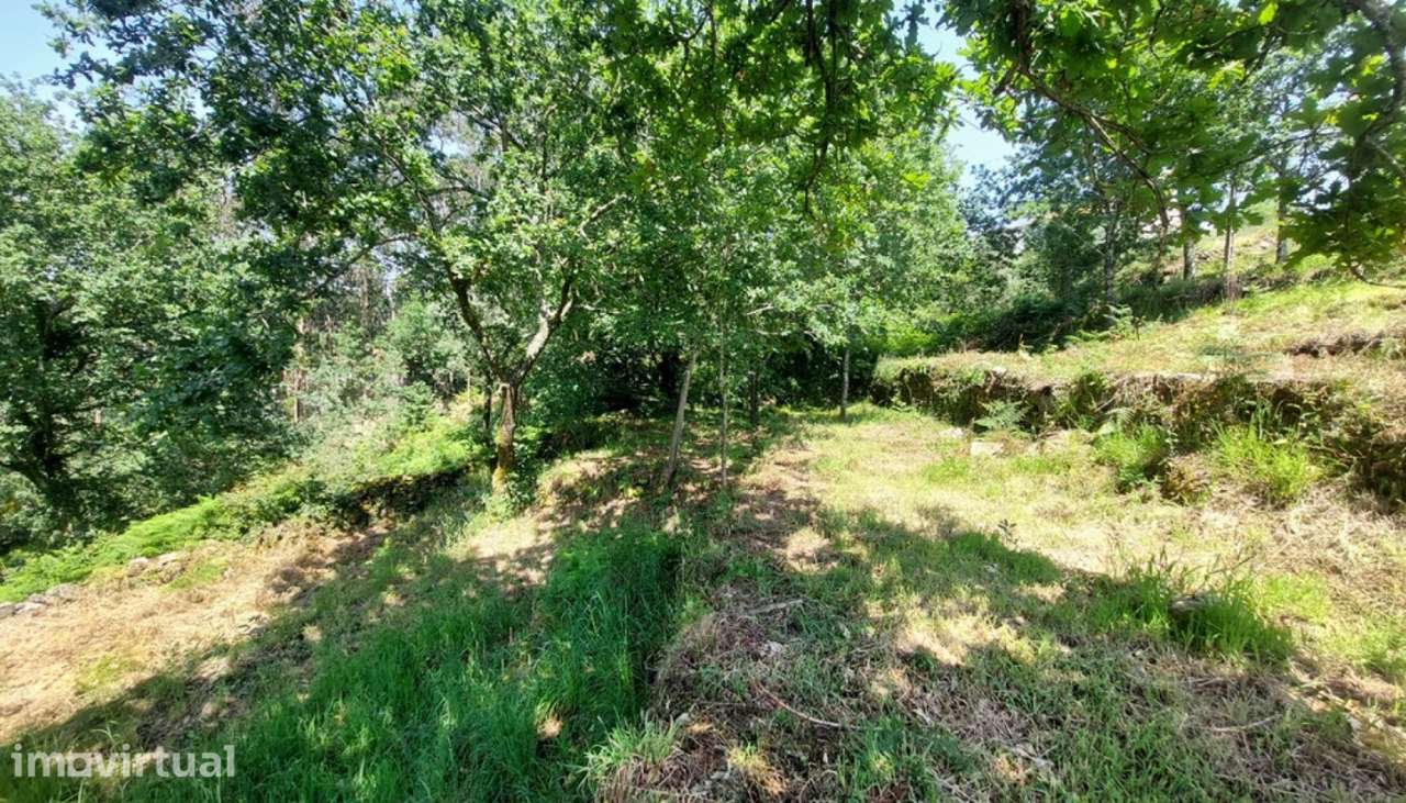 Venda de terreno para construção, Vila de Punhe, Viana do Castelo - Grande imagem: 2/30
