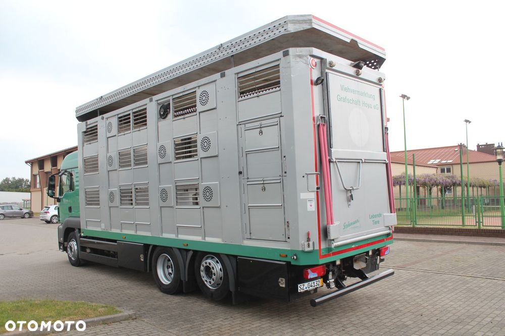 MAN TGS 26.440 DO ŻYWCA ZWIERZĄT BYDŁA Z NIEMIEC - 2