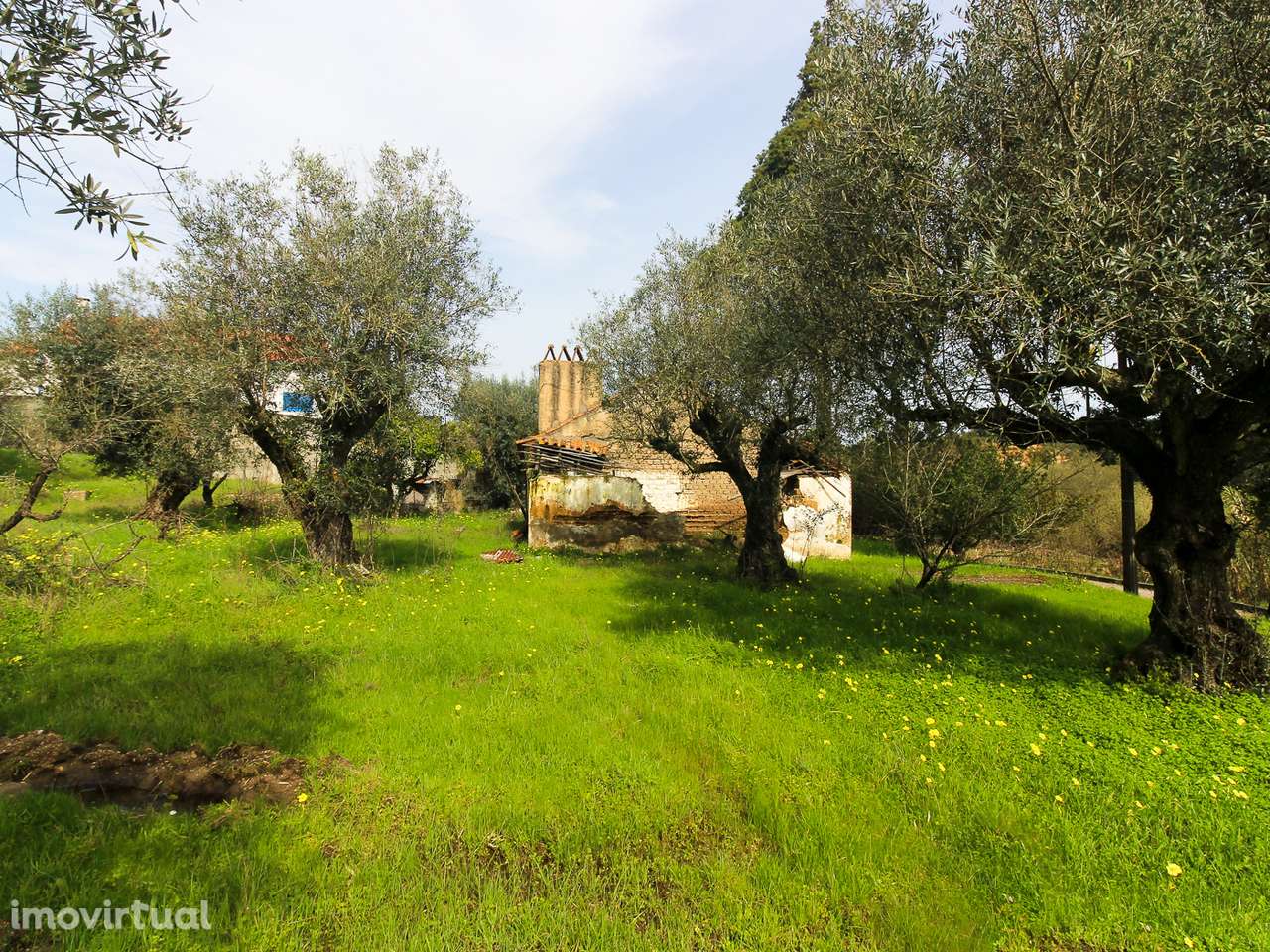 Terreno com cerca de 1 Hectare - Grande imagem: 4/20