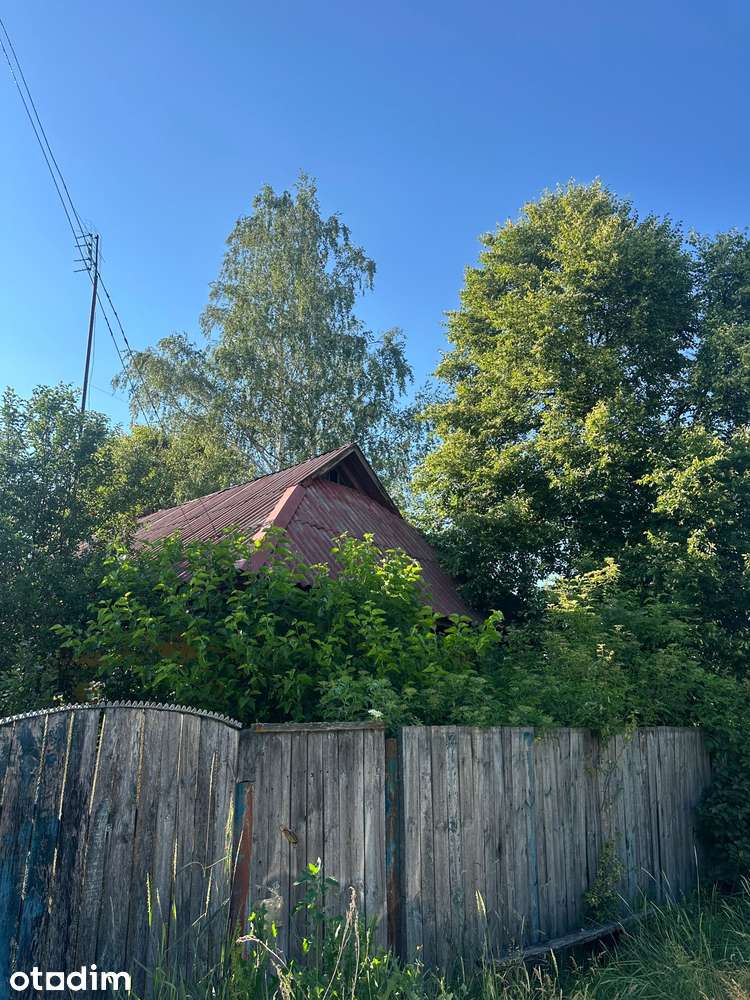 Будинок на великій ділянці біля річки та лісу - Повне зображення: 2/12