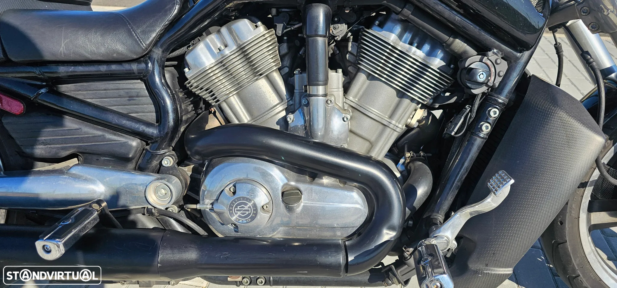 Harley-Davidson VRSCF VROD MUSCLE - 7