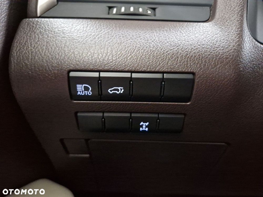 Lexus RX 200t / 300 Elegance MY19 - 25