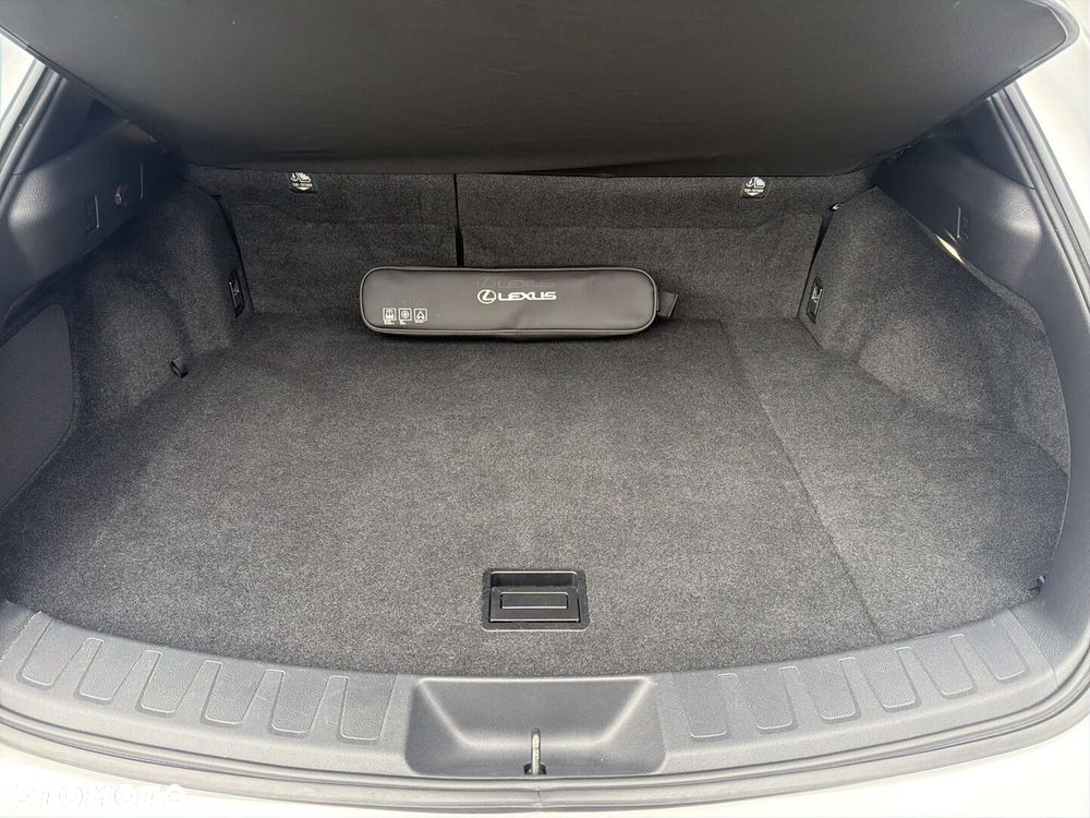 Lexus UX 250h GPF F Sport Design 2WD - 22