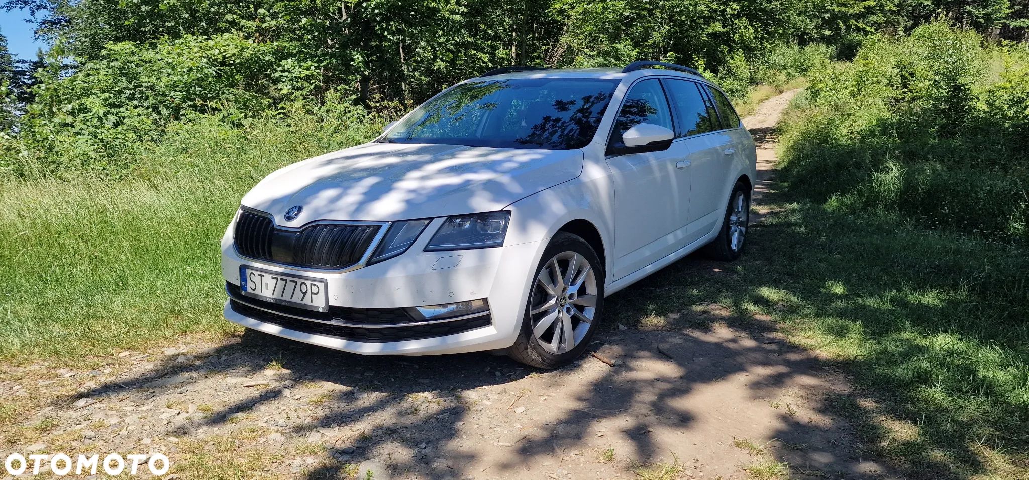 Skoda Octavia 2.0 TDI 4x4 Style DSG - 1