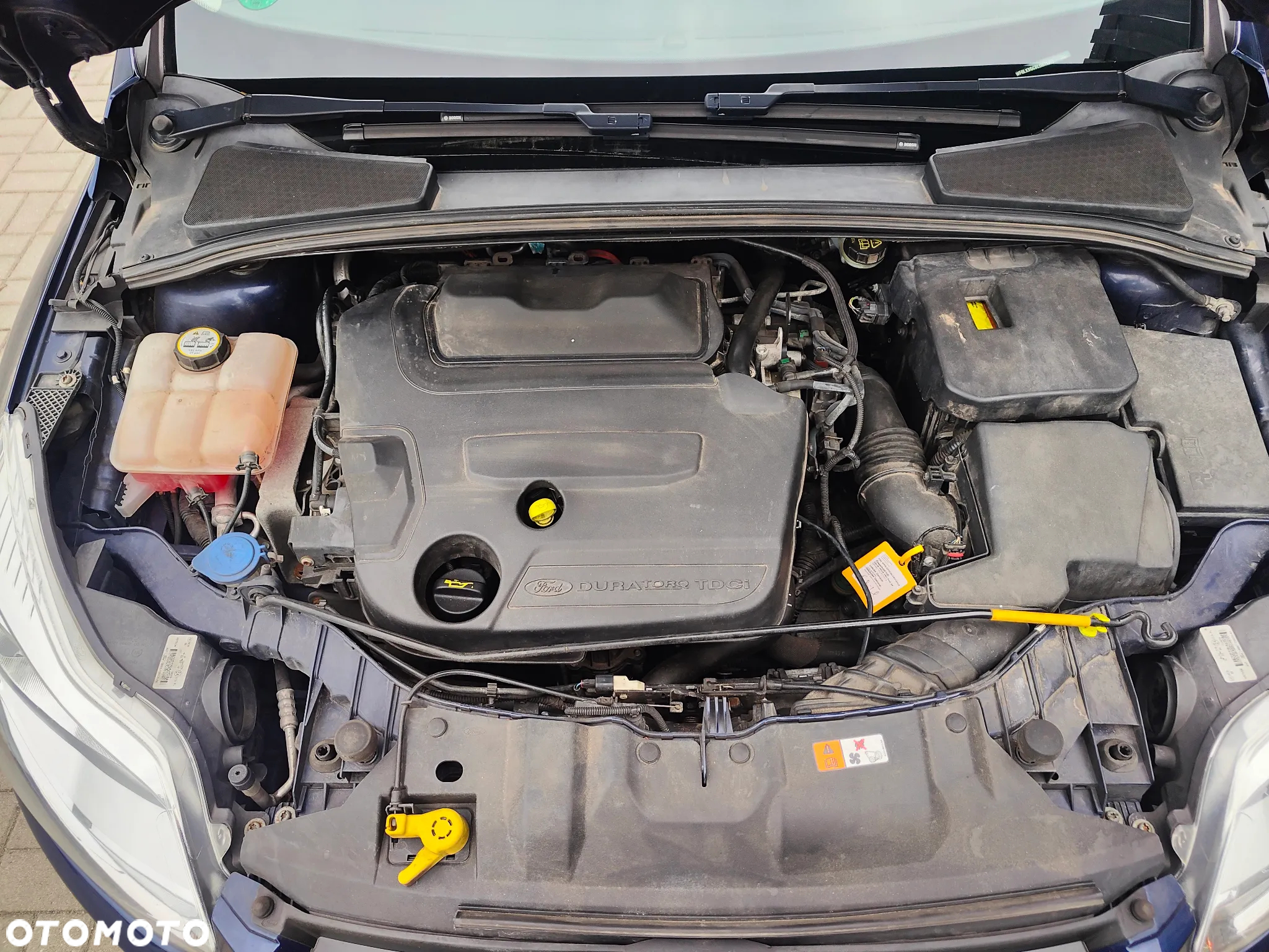 Ford Focus - 29