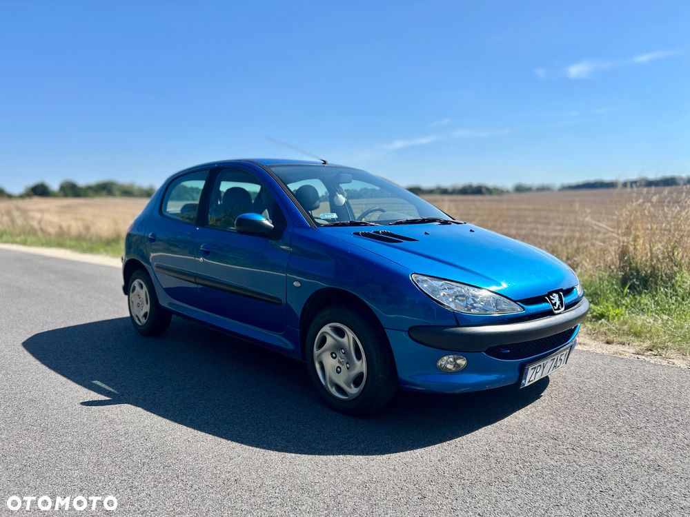 Peugeot 206 - 8