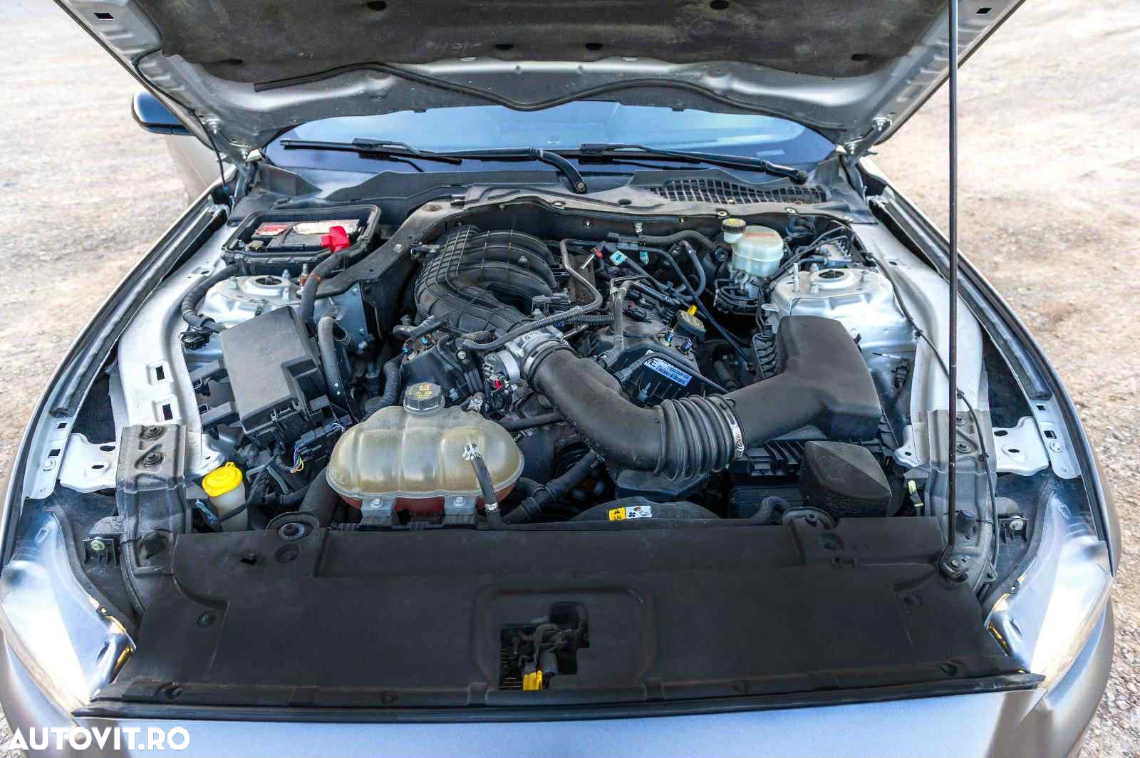 Ford Mustang - 11
