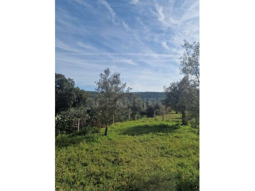 Moradia com terreno para reconstruir em Abrantes - Grande imagem: 4/11