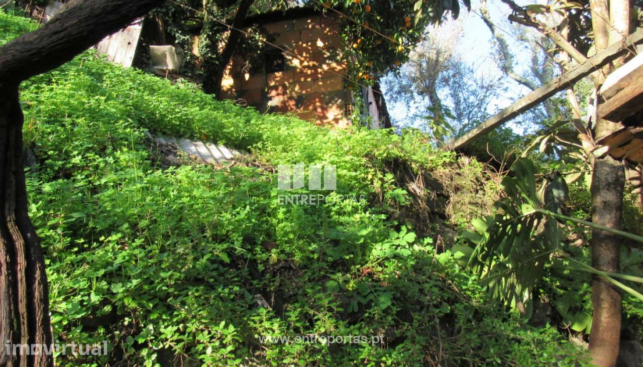 Venda Moradia V3, Sta. Marinha do Zêzere, Baião - Grande imagem: 5/30