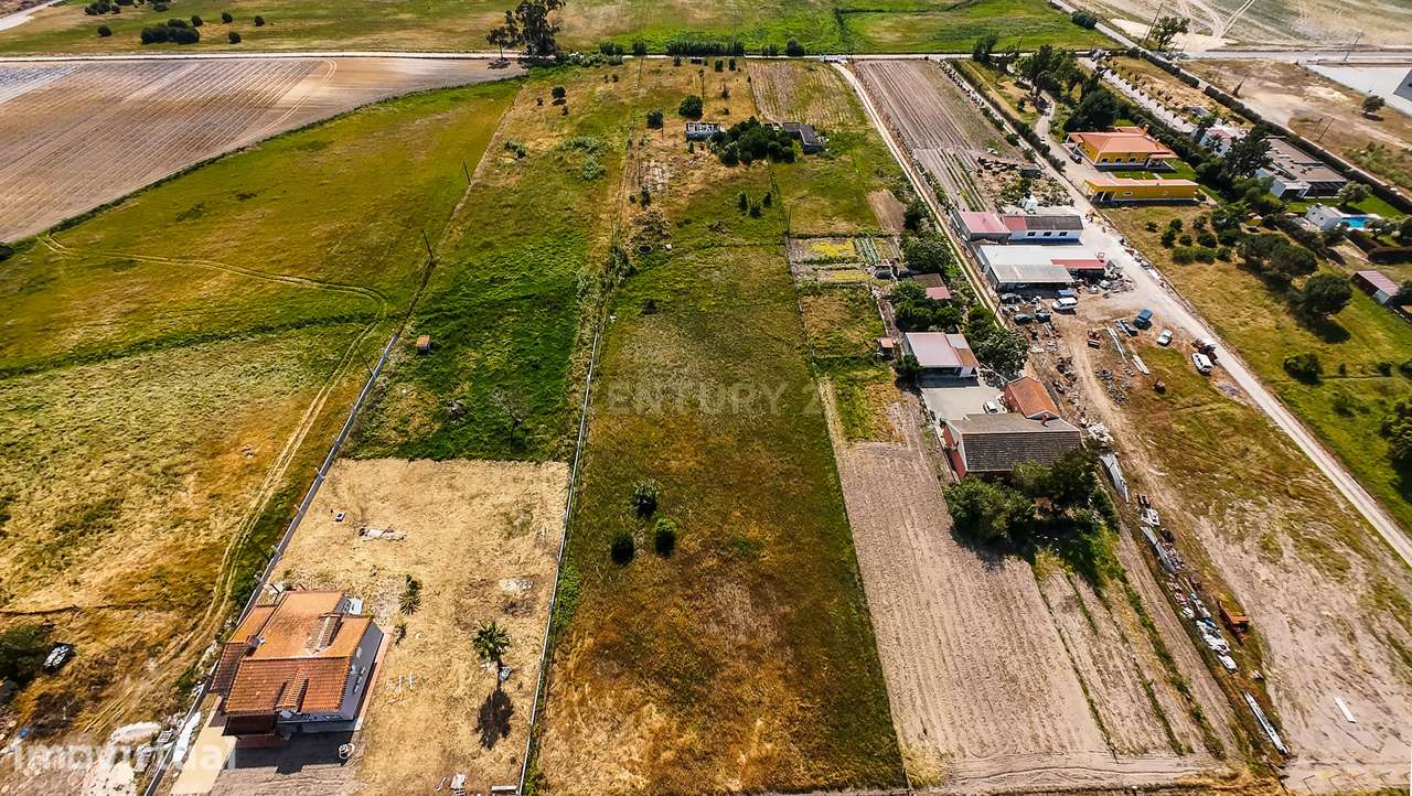 Herdade em Pegões - Foros do Trapo - Grande imagem: 4/25