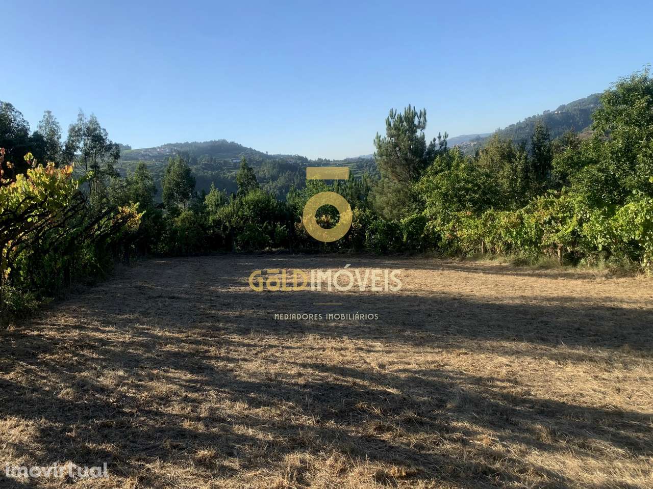 Terreno em Travanca - Cinfães - Grande imagem: 4/12