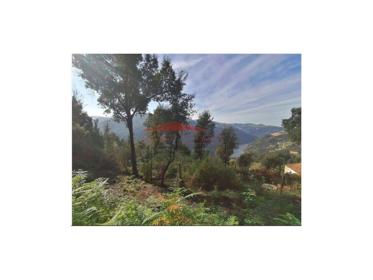 Terreno com benfeitoria Penhalonga Marco Canaveses - Grande imagem: 4/5