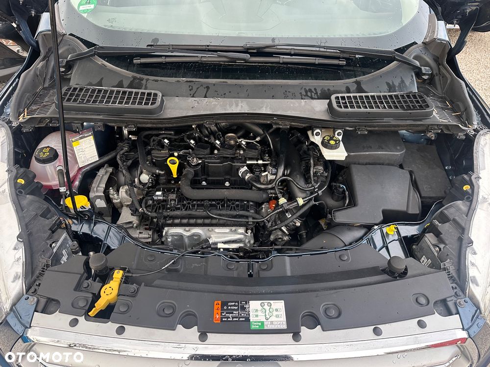 Ford Kuga 1.5 EcoBoost 2x4 Titanium - 18